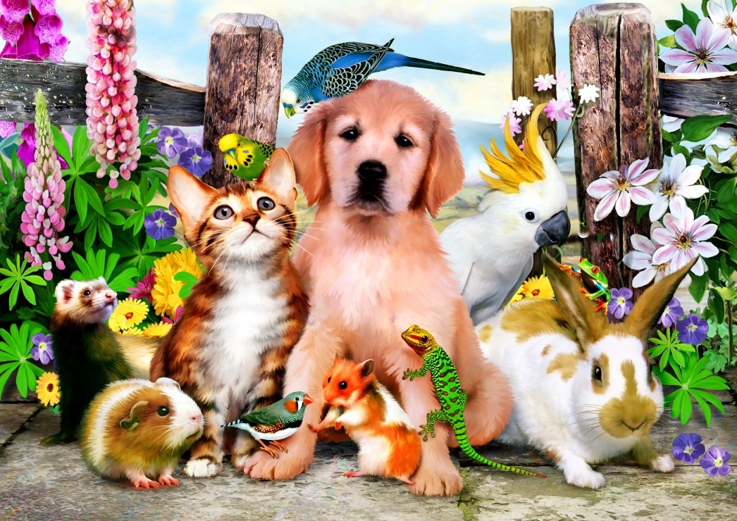 Good Companions