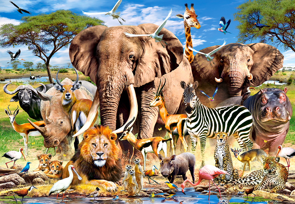 Les Animaux de la Savanne