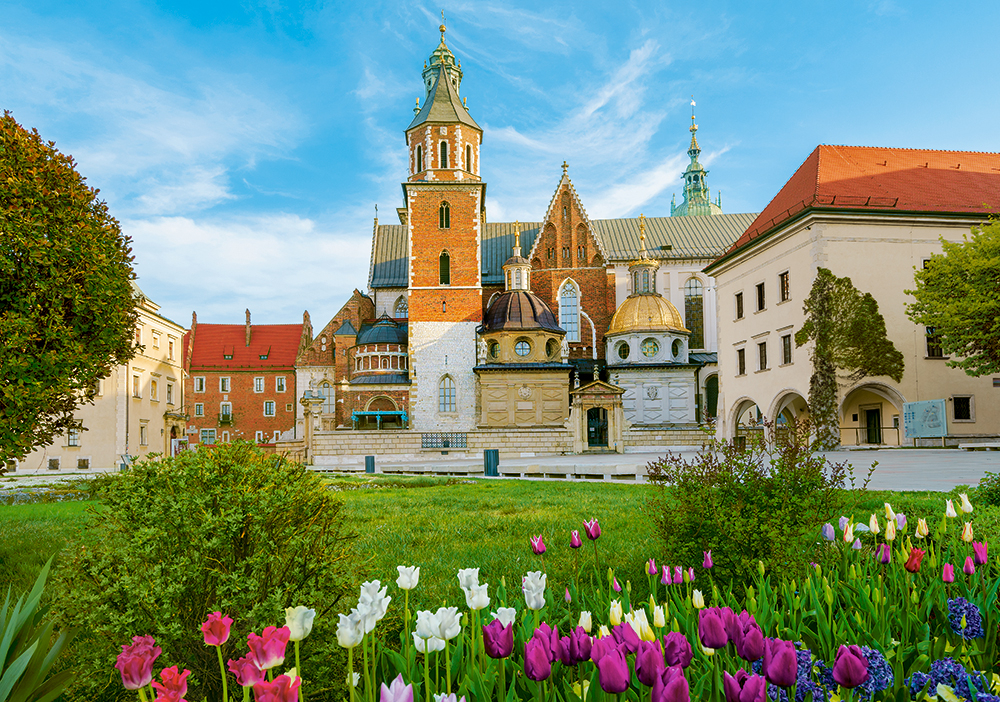 Wawel Château, Cracovie, Pologne