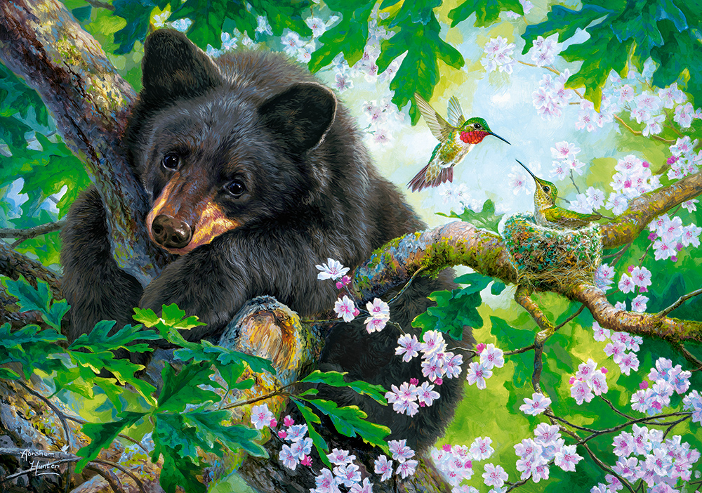 L'Ours et les Colibris