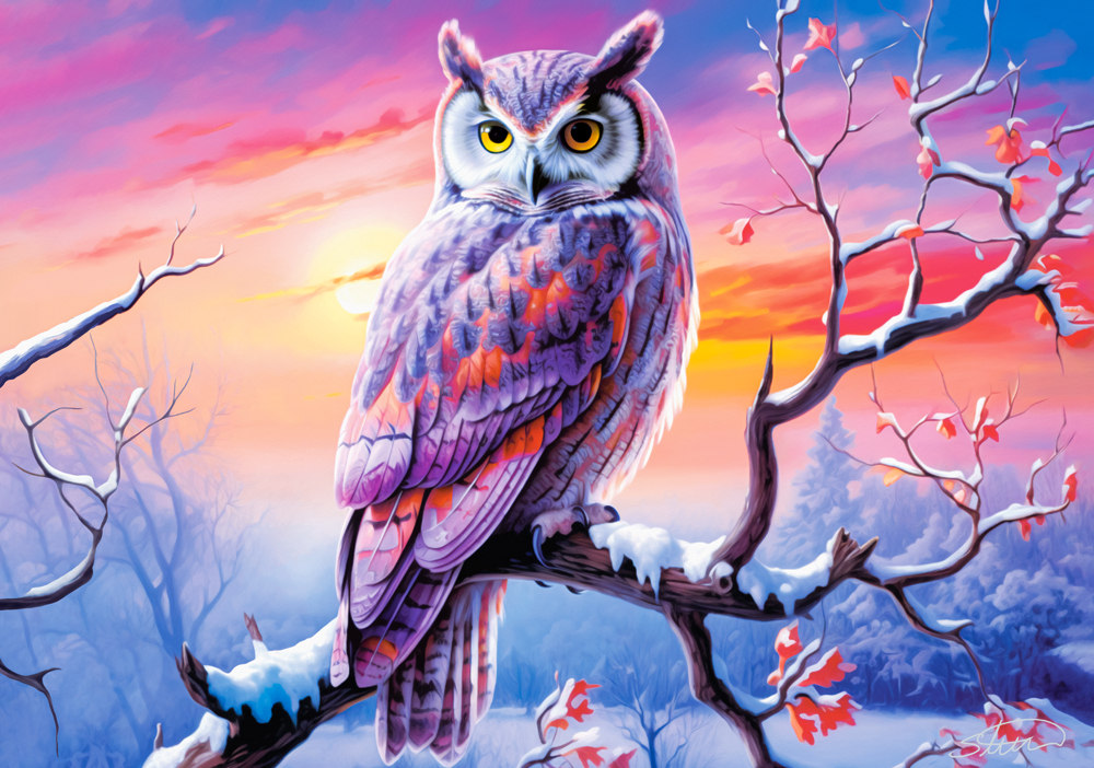 Soirée Idéale du Hibou