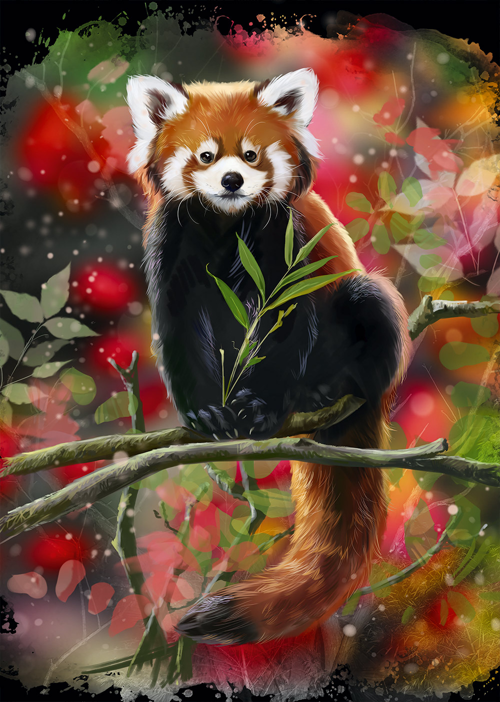 Panda Roux Assis sur une Branche