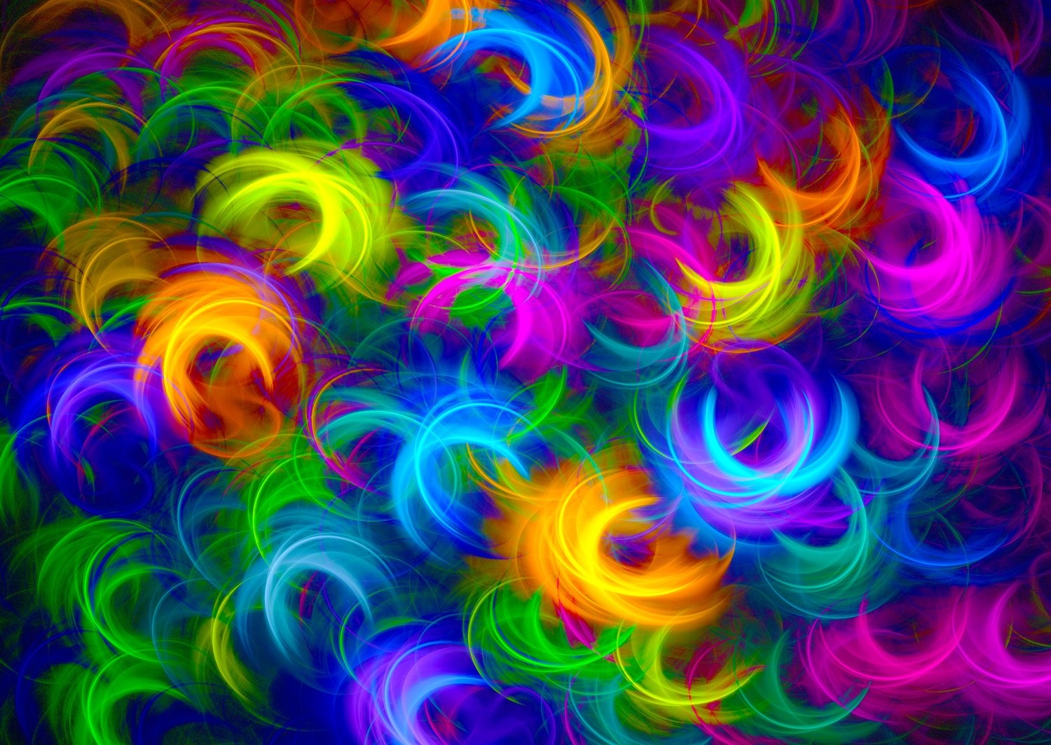 Abstract Neon Feathers