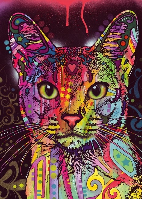 Abyssinian