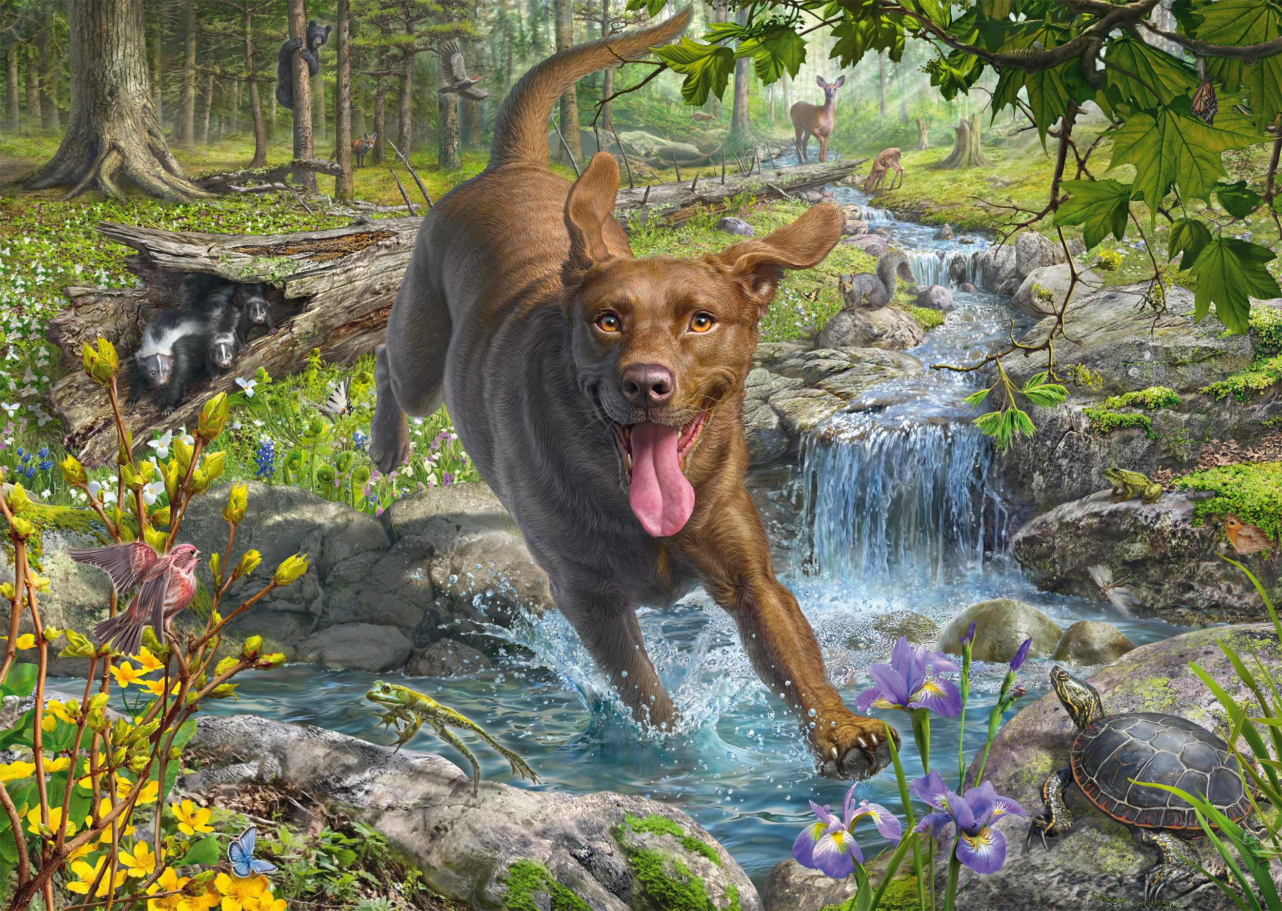 Mark Fredrickson - Retriever au Printemps
