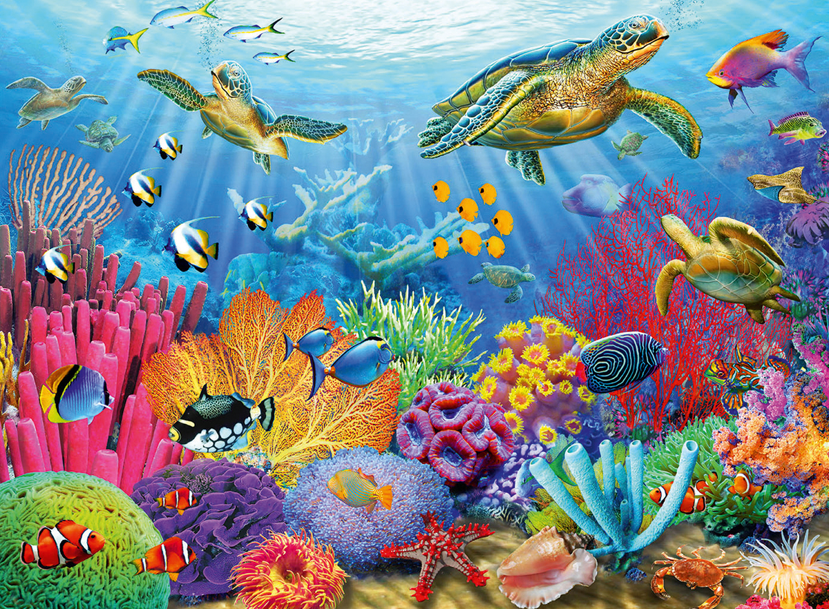 Tropical Waters