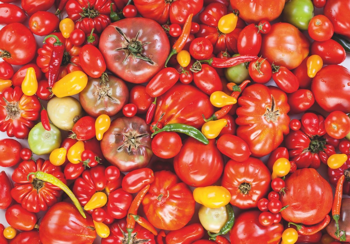 Tomato