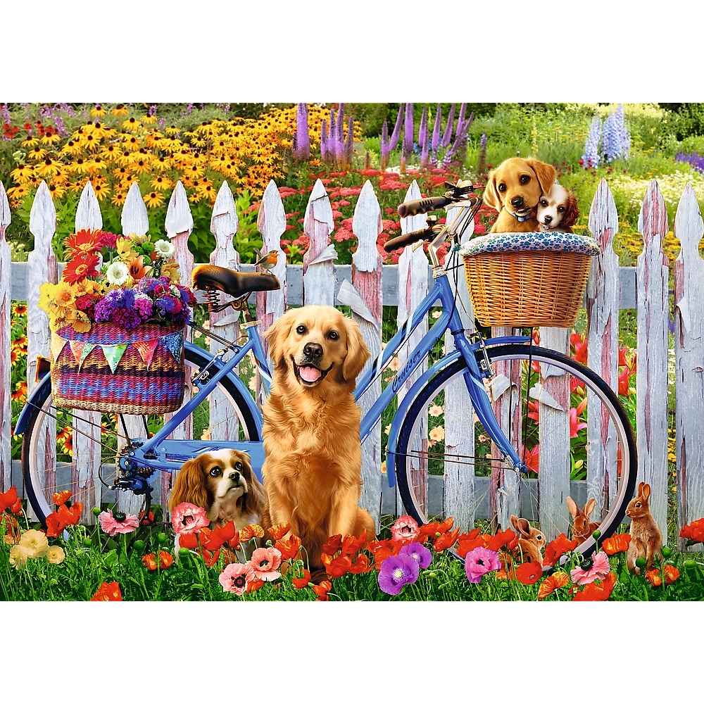 Aventure de Chiots
