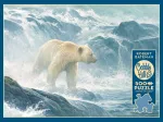 Pièces XXL - Salmon Watch - Spirit Bear