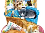 Lori Schory - Free Kitties