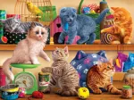 Pet Shop Kittens