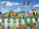 Pièces XXL - Oiseaux de l'Ouest