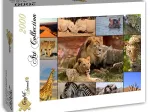 Collage - Wildlife