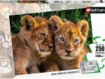 Adorable Lion Babies