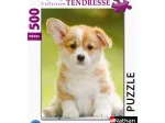 Adorable Corgi