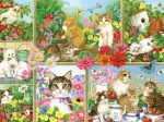 Chats et Chatons