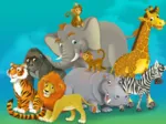 Safari