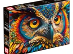 Hibou Coloré