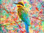 Oiseau Joyeux