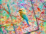 Oiseau Joyeux