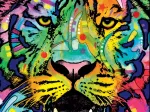 Dean Russo : Jolly Pets, Wild Tiger