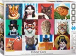 Funny Cats