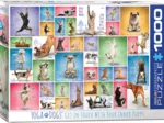 Yoga Dogs