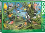 Joahn Francis - Garden Birds