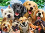 Dogs' Selfy