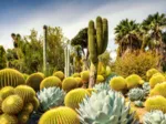 Jardin du Désert de Huntington, Californie, États-Unis