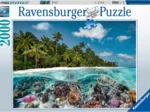 Une Plongée aux Maldives