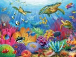 Tropical Waters