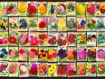 Vintage Collage - Fleurs