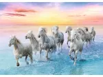 Galloping White Horses