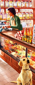 Puzzles Adultes