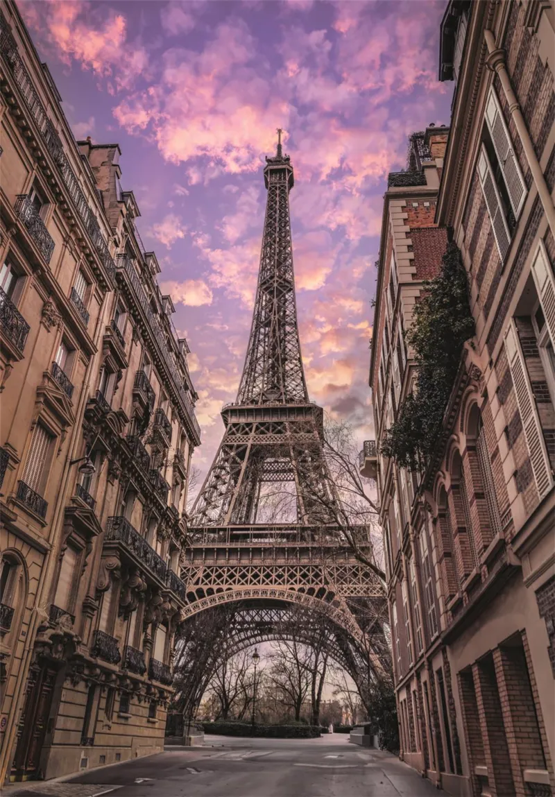 Paris se Réveille