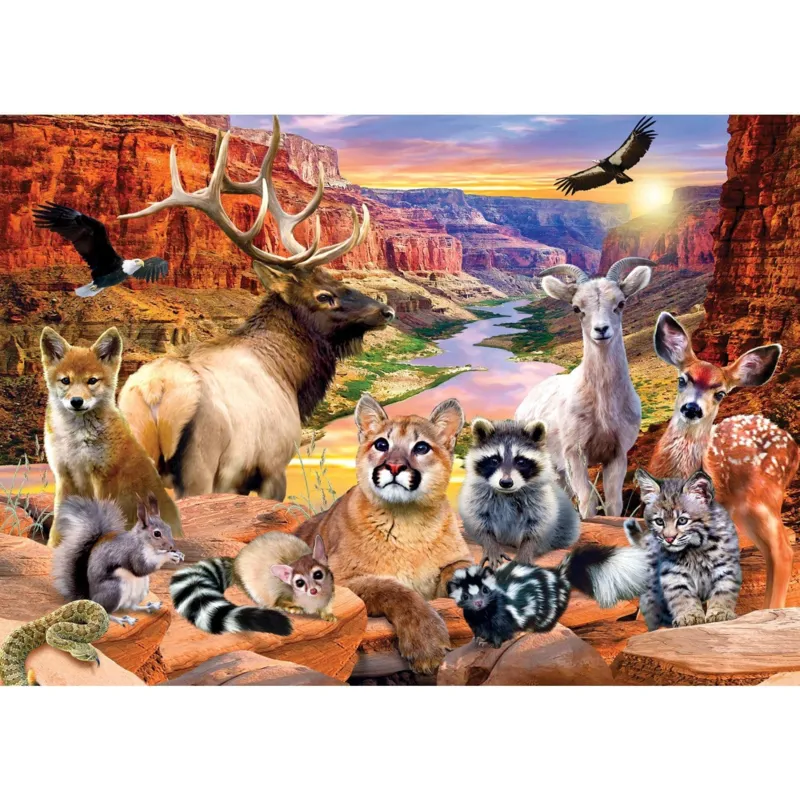 National Parks - Grand Canyon
