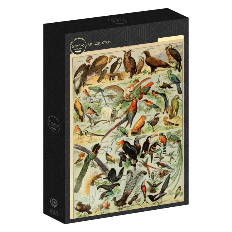 Illustration du Larousse pour Tous : Oiseaux, XIXè Siècle