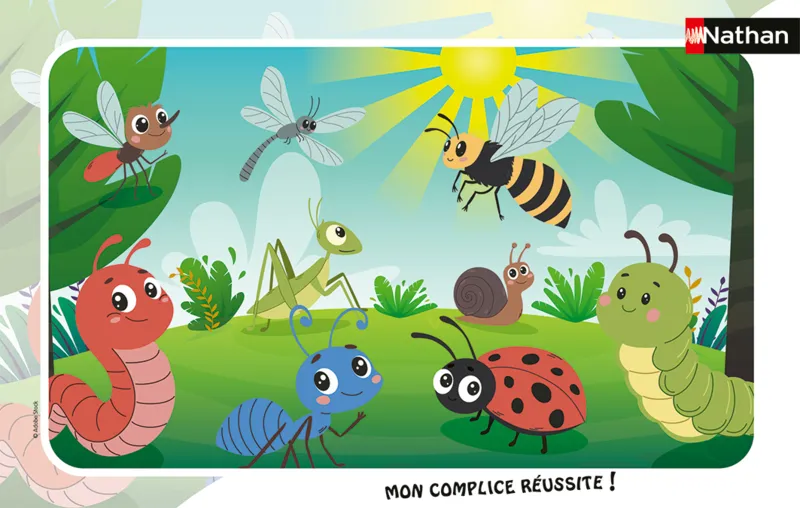 Les Petits Insectes