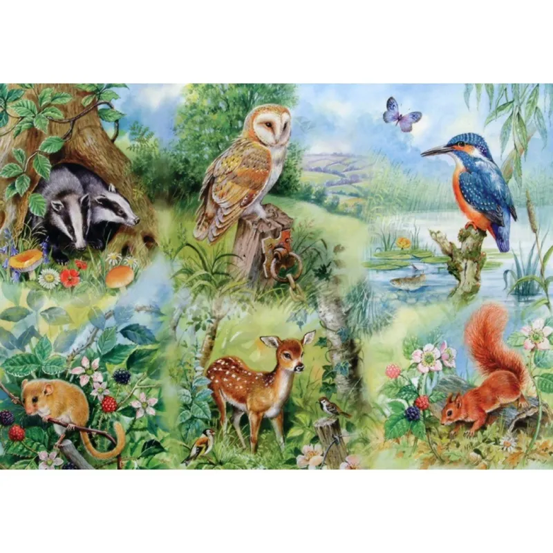 Pièces XXL - Etude Naturelle