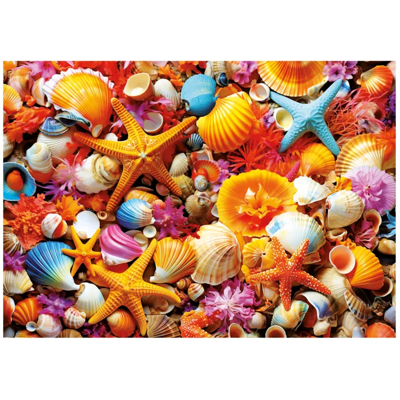 Collage de Coquillages