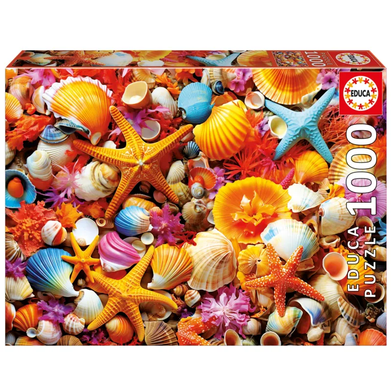 Collage de Coquillages