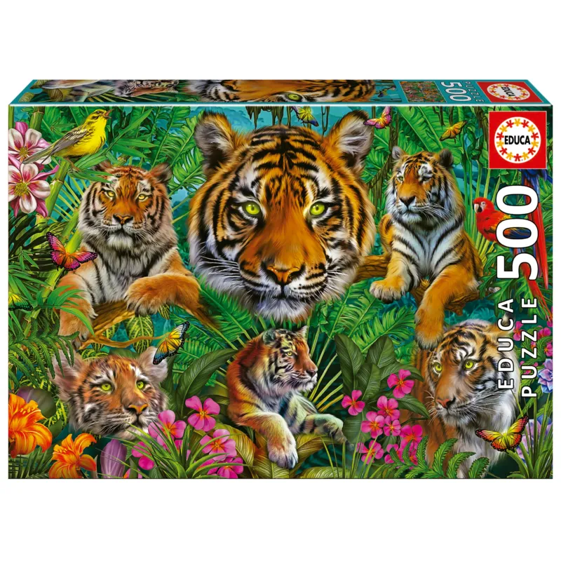 Jungle Des Tigres
