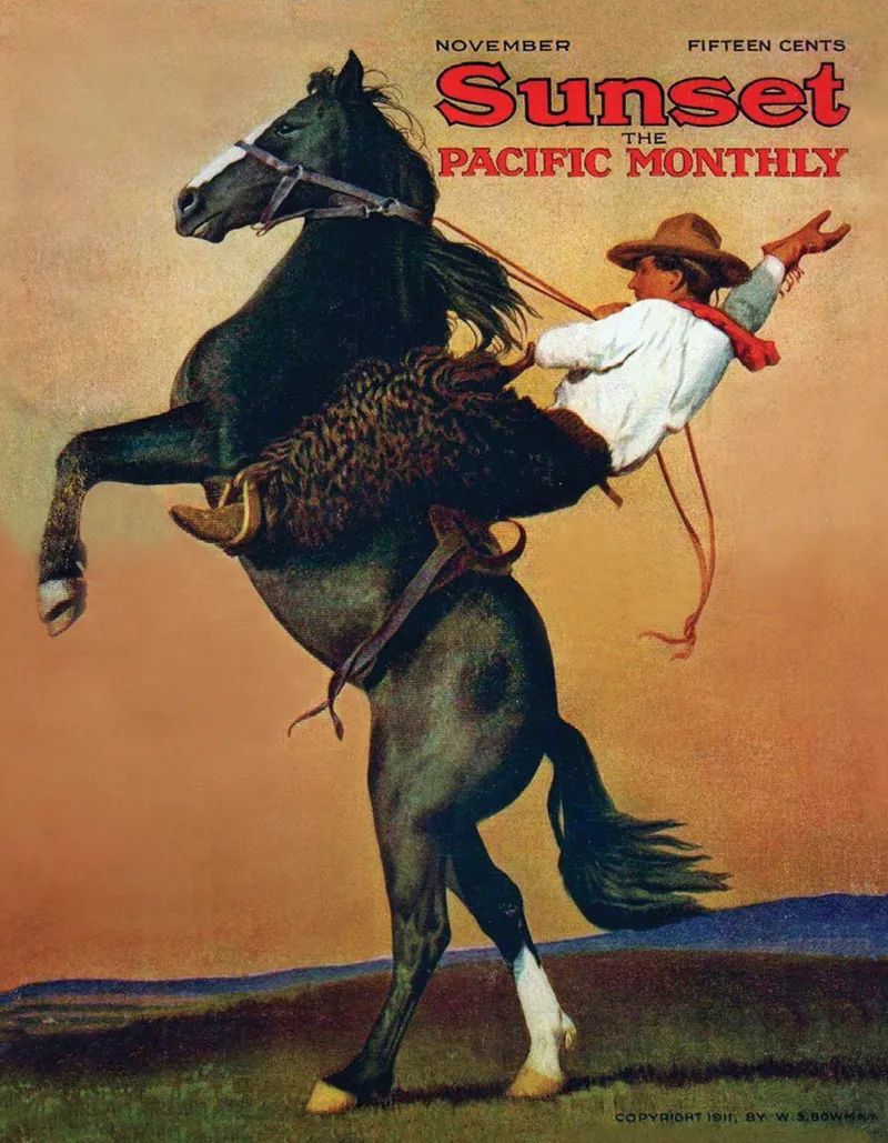 Bucking Bronco