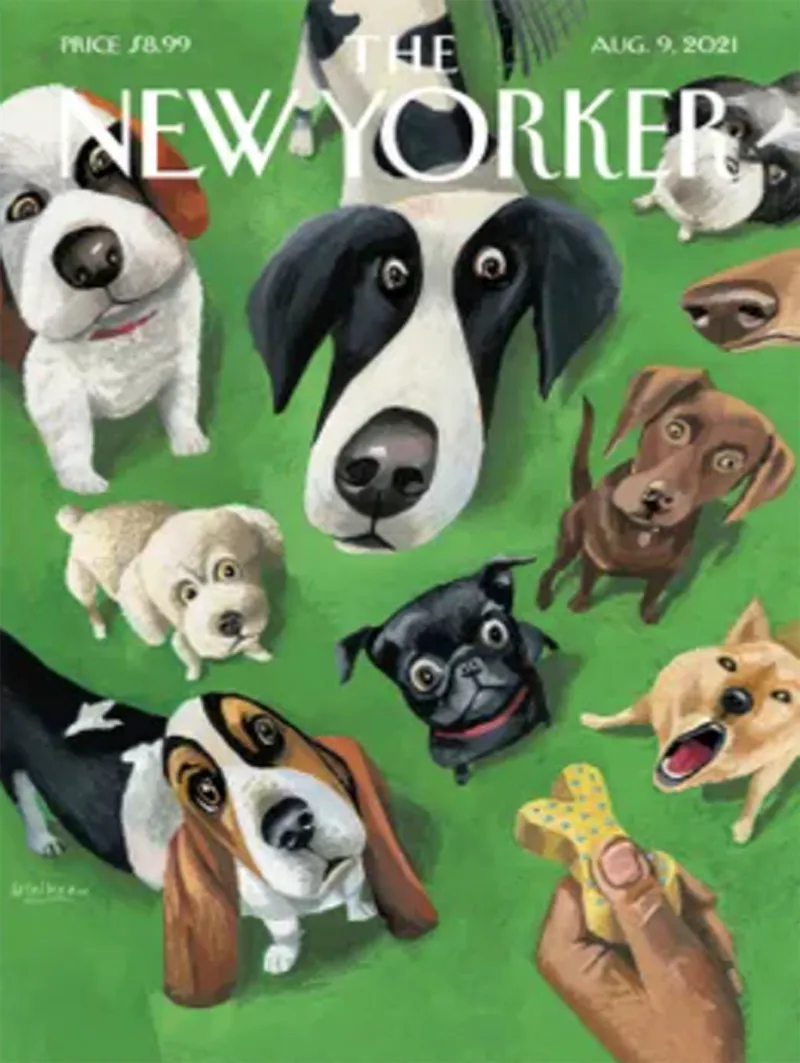 Pièces XXL - The New Yorker - Summer Treat