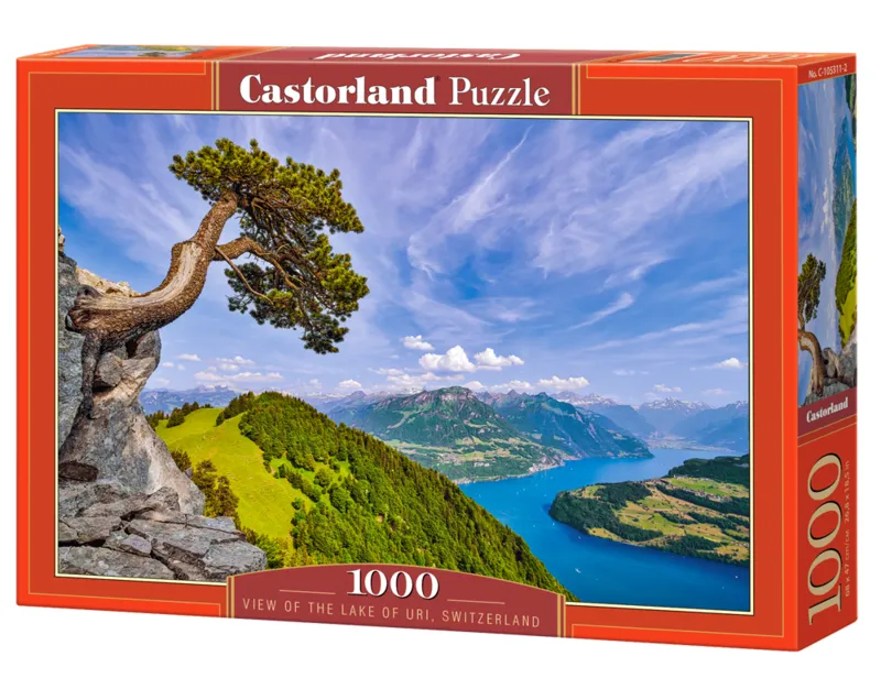 Vue du Lac d'Uri, Suisse