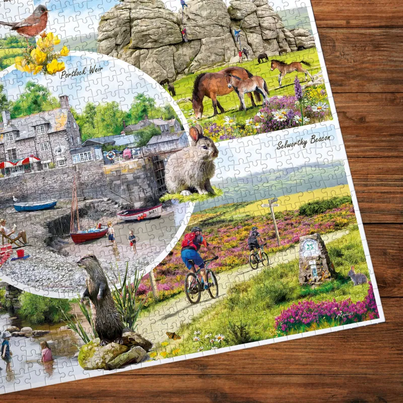 Dartmoor & Exmoor (1000)