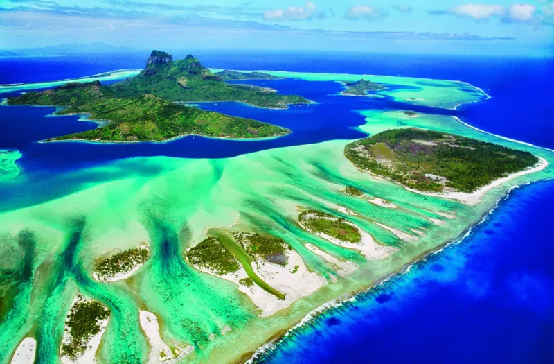 Save the Planet Collection - Récif de Corail