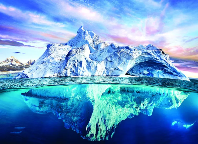 Save our Panet Collection - Arctique