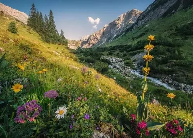 Dans Le Jardin D'Éden